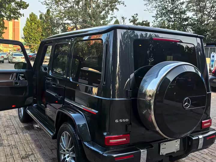 Фото 5 - Mercedes-Benz G-Class