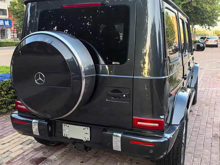 Фото 6 - Mercedes-Benz G-Class