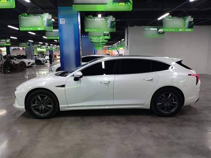 Фото 5 - Hozon S Hunting