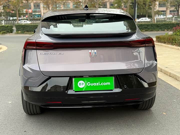 Фото 9 - Buick Electra E4