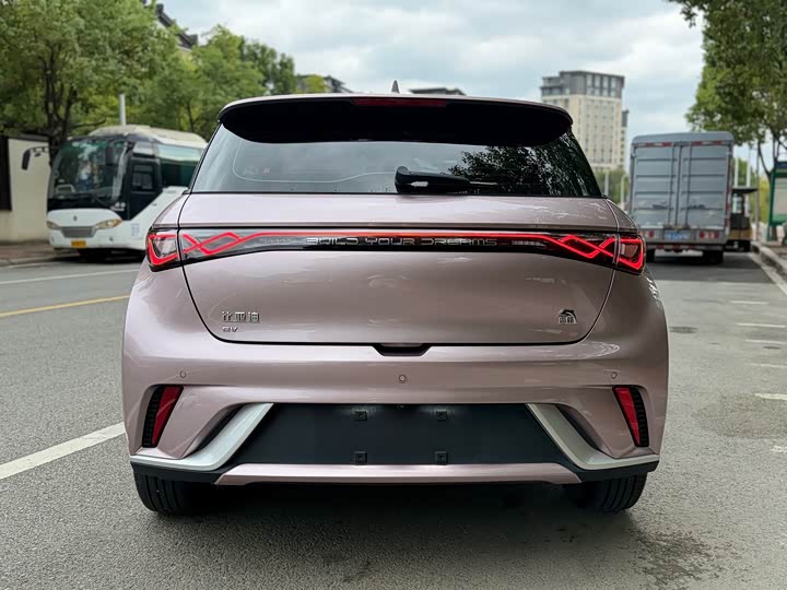 Фото 4 - BYD Dolphin