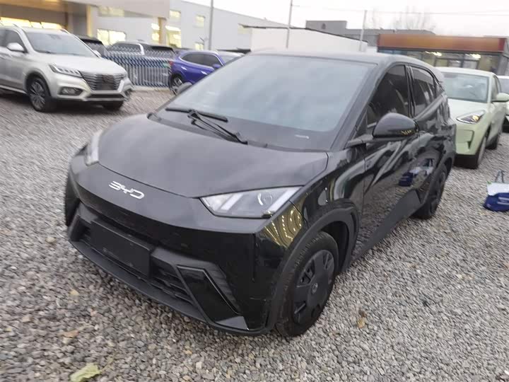 Фото 2 - BYD Seagull