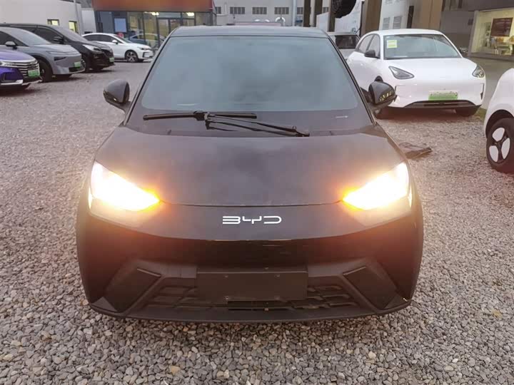 Фото 3 - BYD Seagull