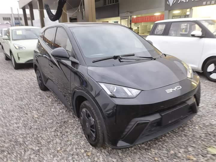 Фото 4 - BYD Seagull