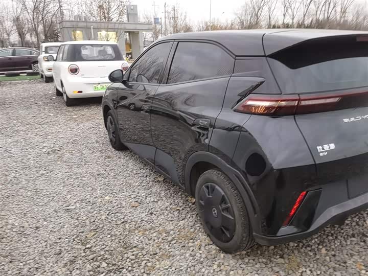 Фото 5 - BYD Seagull