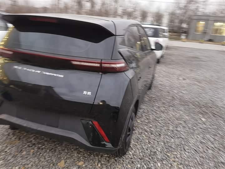 Фото 8 - BYD Seagull