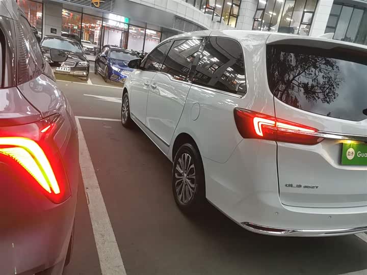 Фото 5 - Buick GL8 ES