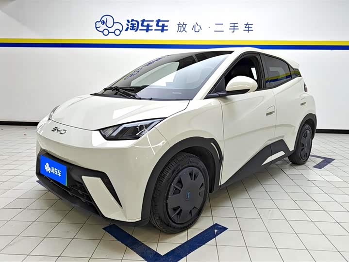 Фото 1 - BYD Seagull