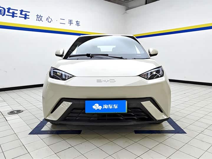 Фото 2 - BYD Seagull