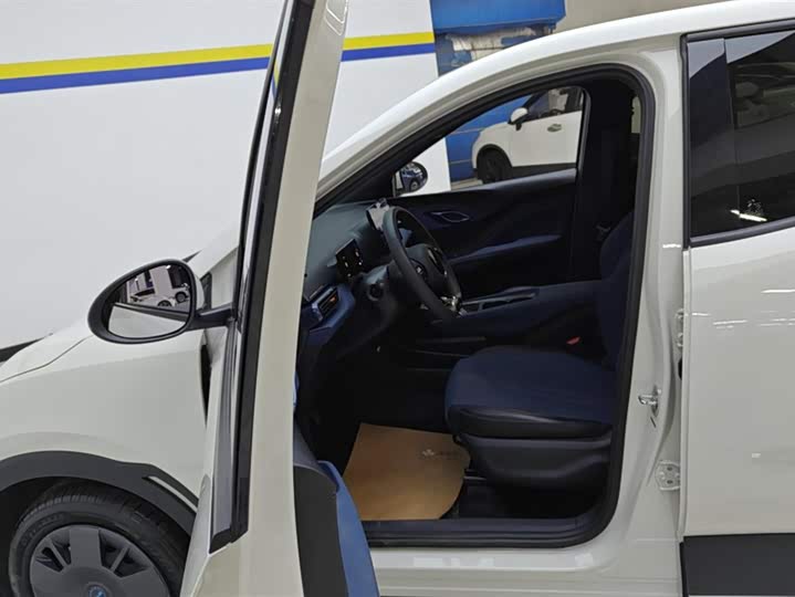 Фото 9 - BYD Seagull