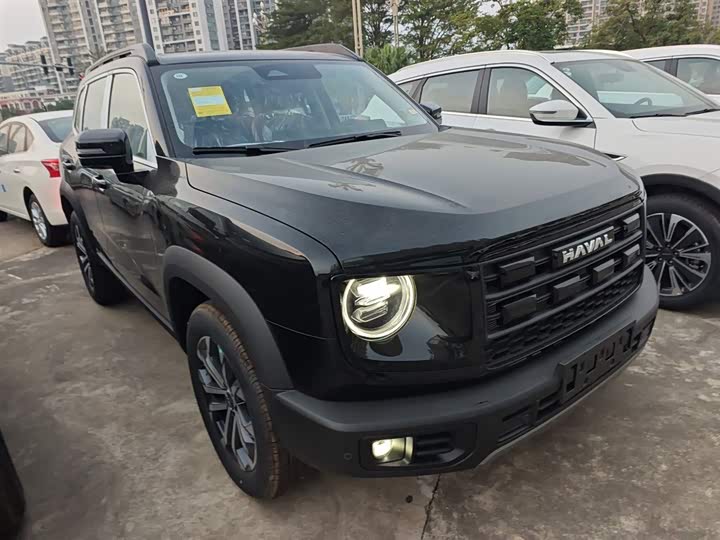 Фото 4 - Haval Dargo