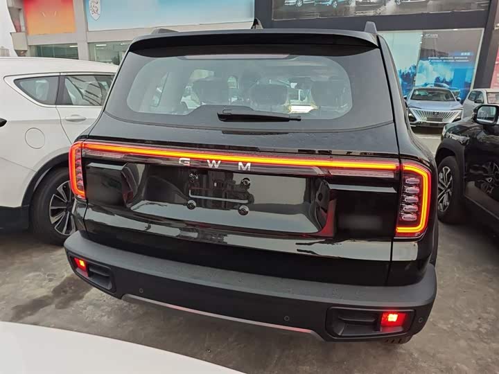 Фото 6 - Haval Dargo