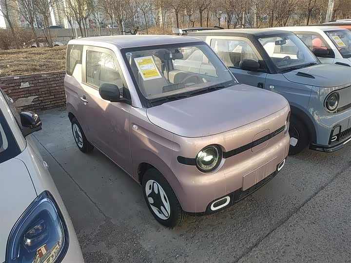 Фото 4 - Geely Galaxy Panda Mini