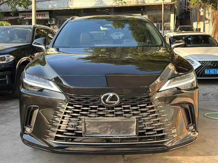 Фото 2 - Lexus RX