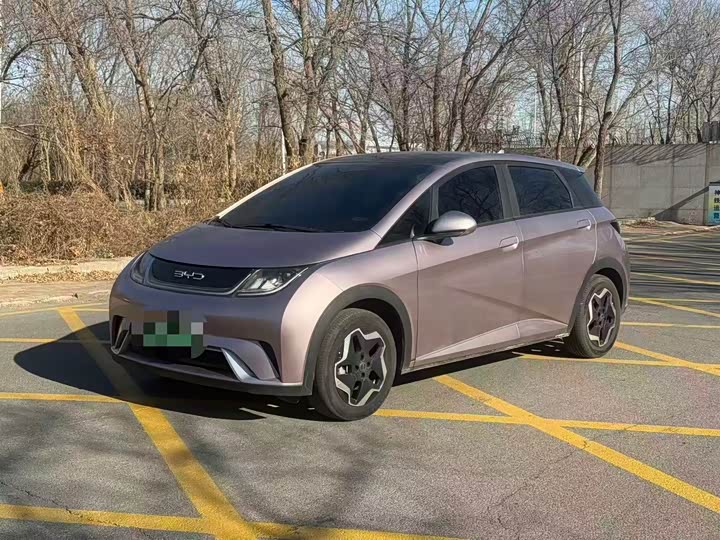 Фото 1 - BYD Dolphin