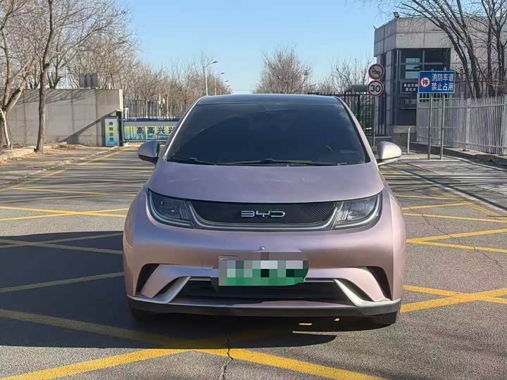 Фото 2 - BYD Dolphin