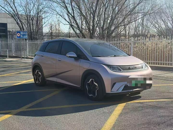 Фото 3 - BYD Dolphin