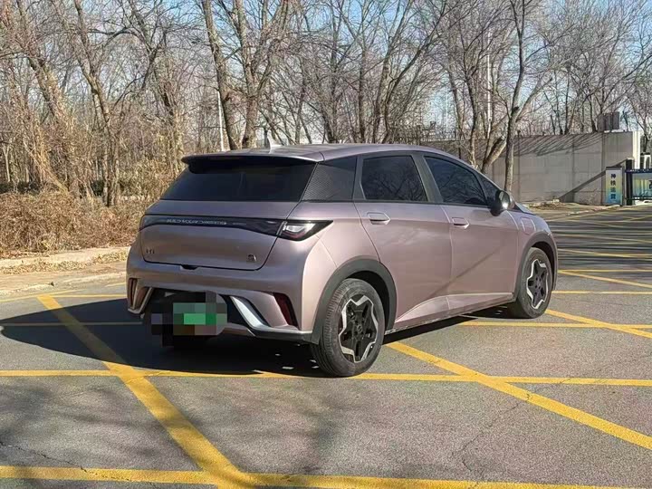 Фото 9 - BYD Dolphin