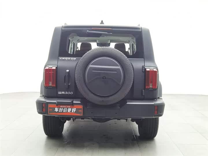 Фото 4 - Tank 300