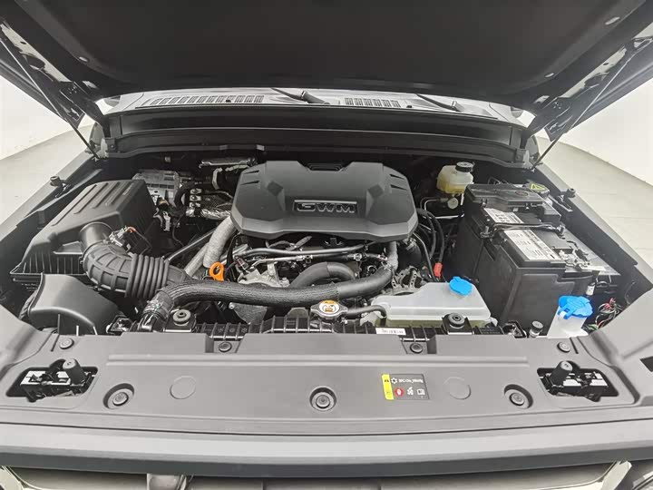 Фото 6 - Tank 300