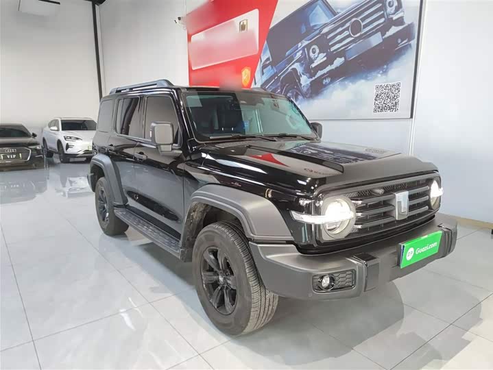 Фото 4 - Tank 300