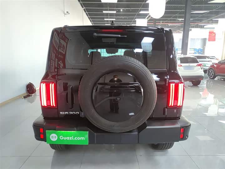 Фото 6 - Tank 300