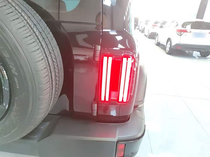 Фото 8 - Tank 300