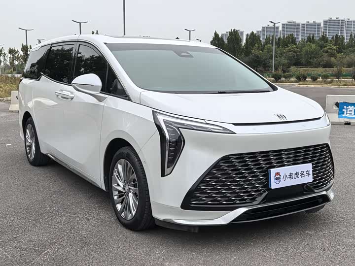 Фото 3 - Buick GL8 Century