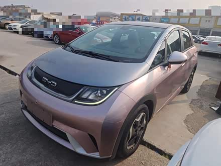 Фото 1 - BYD Dolphin