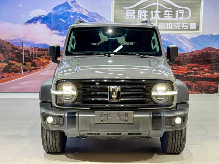 Фото 2 - Tank 300