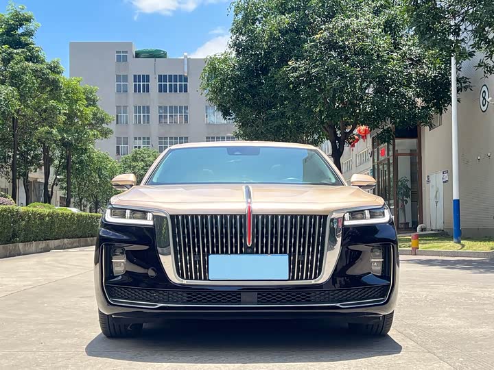 Фото 2 - Hongqi H9
