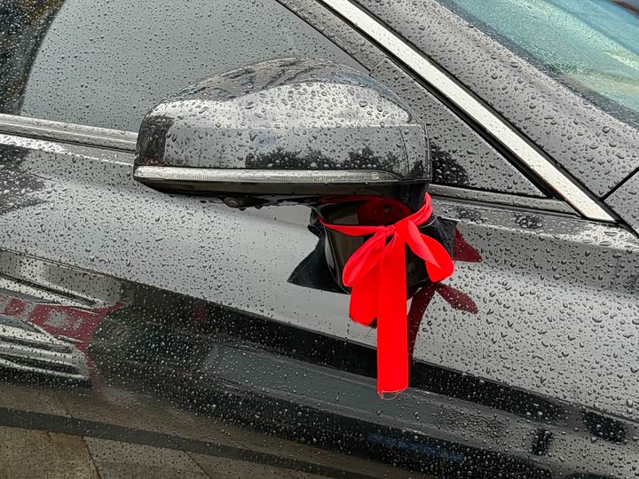 Фото 4 - Hongqi H5