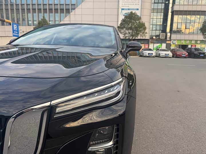 Фото 4 - Hongqi H5