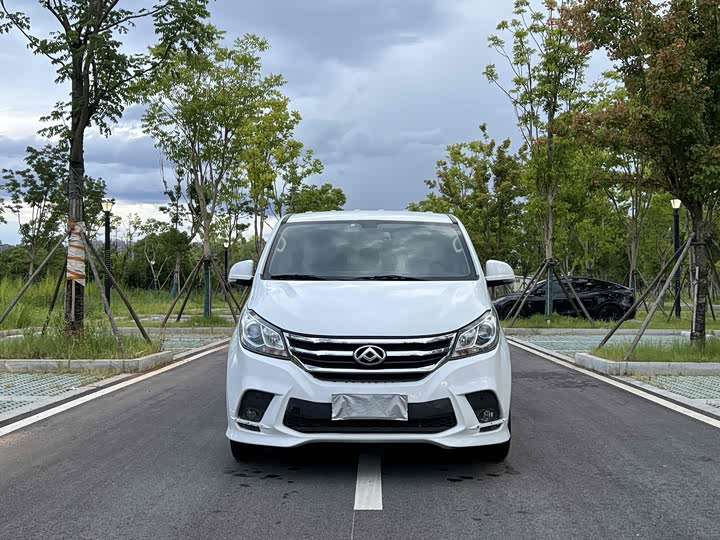 Фото 1 - Maxus G10