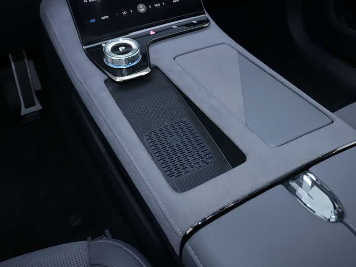 Фото 4 - Voyah Passion