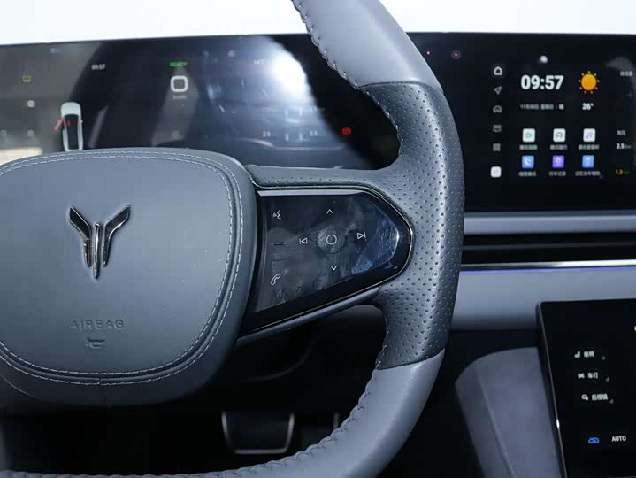 Фото 6 - Voyah Passion