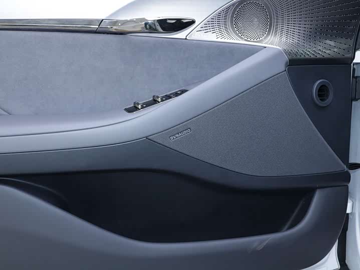 Фото 7 - Voyah Passion