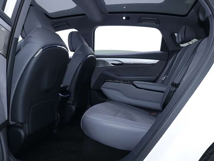 Фото 9 - Voyah Passion