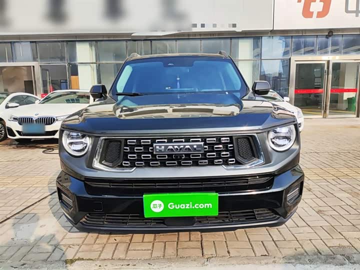 Фото 3 - Haval H-Dog