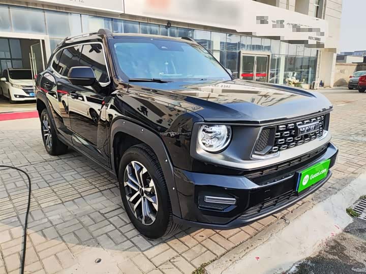 Фото 4 - Haval H-Dog