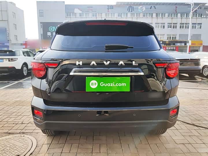 Фото 6 - Haval H-Dog