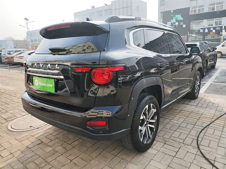Фото 7 - Haval H-Dog