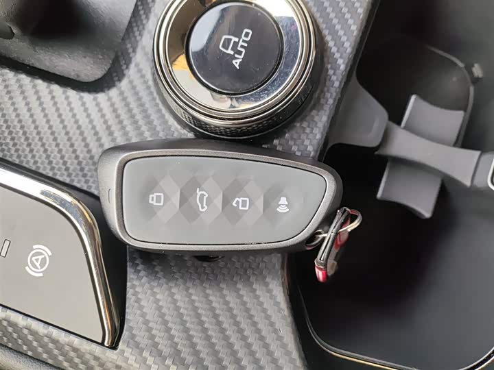 Фото 9 - Haval H-Dog