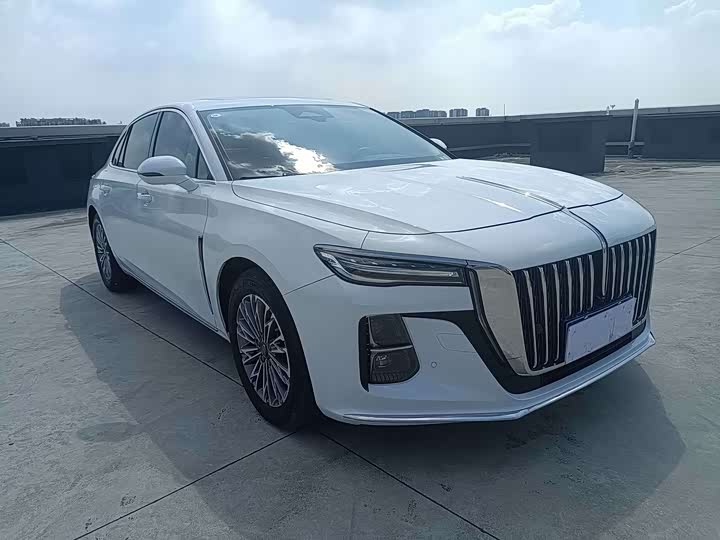 Фото 3 - Hongqi H5