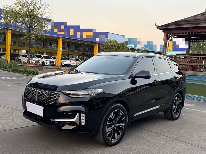 Фото 1 - Wey VV6