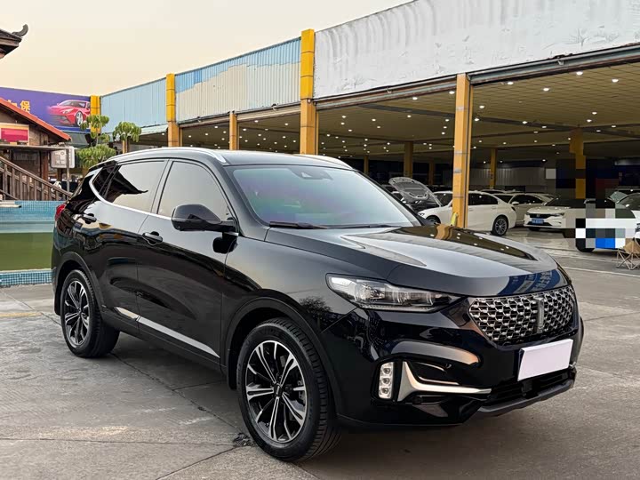 Фото 3 - Wey VV6