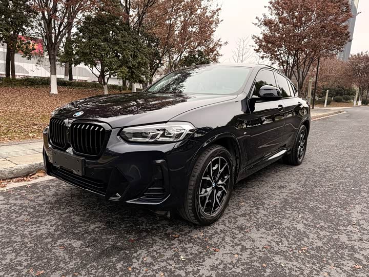 Фото 1 - BMW X4