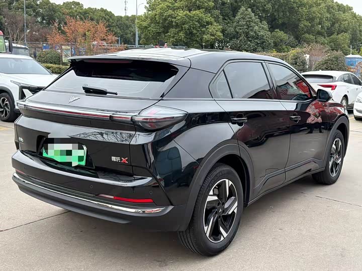 Фото 7 - Hozon X