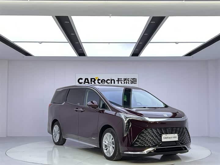 Фото 7 - Buick GL8 Century