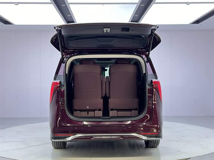 Фото 9 - Buick GL8 Century